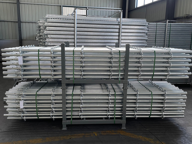 Standard perancah Ringlock